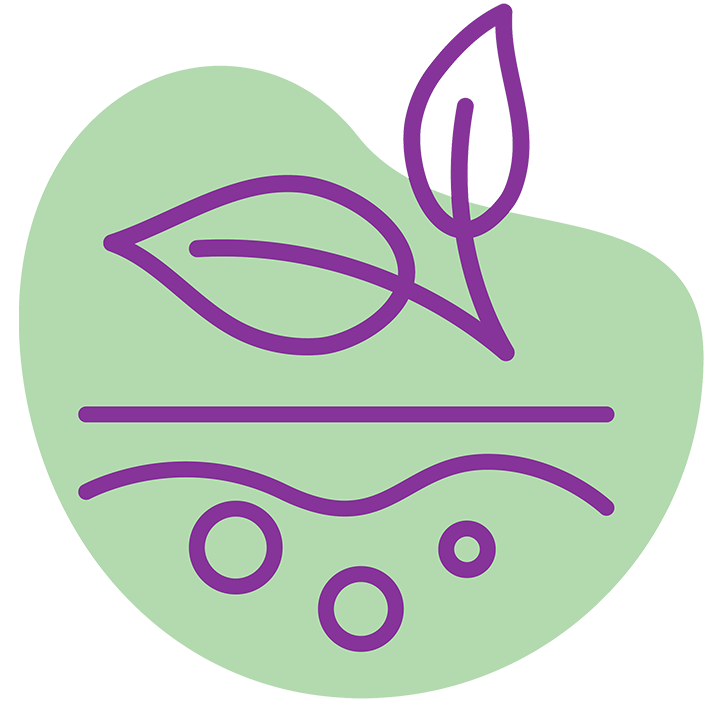 بهداشت و سلامت